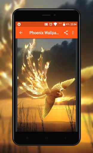 Phoenix Wallpapers 3