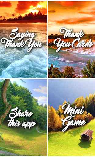 Thank You Cards 2