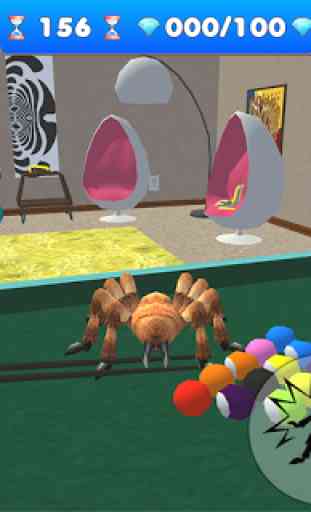 la vida araña de la casa tarántula mascota 1