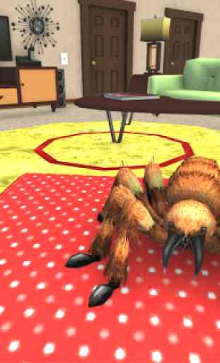 la vida araña de la casa tarántula mascota 3