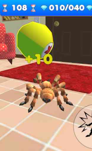 la vida araña de la casa tarántula mascota 4