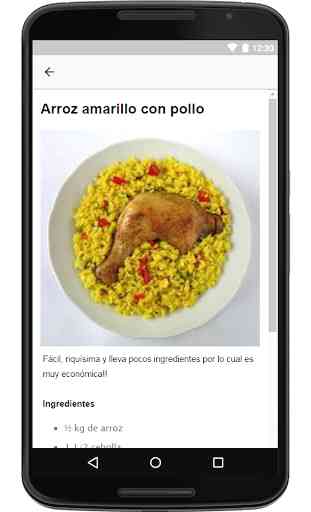 Recetas de Pollo Asado Frito En Español Gratis 4