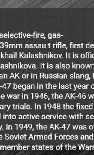 AK-47 Simulation and Info 2