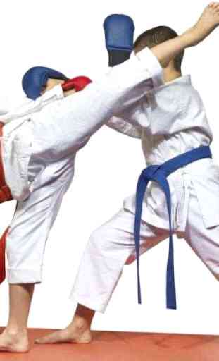 Aprende Técnicas de Taekwondo 3