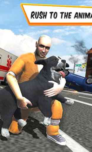Ciudad animal transporte camión rescate perro 3