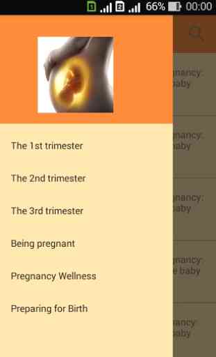 Pregnant. Pregnancy by week. Pregnancy calendar 1