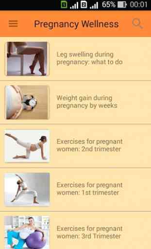 Pregnant. Pregnancy by week. Pregnancy calendar 2