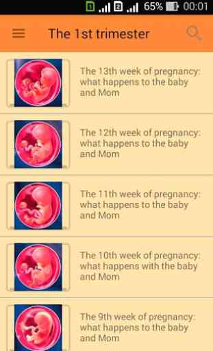 Pregnant. Pregnancy by week. Pregnancy calendar 4