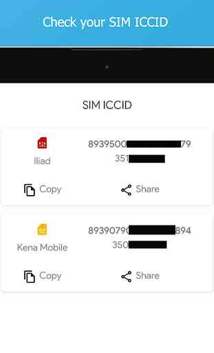 Sim ICCID - Serial Number 3