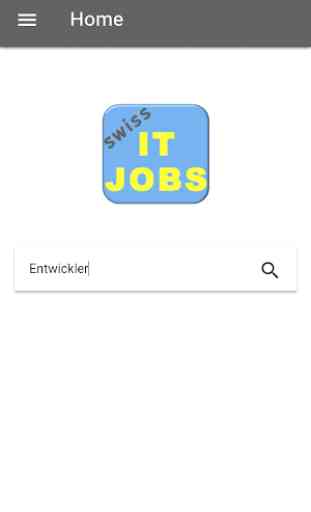Swiss IT-Jobs 1