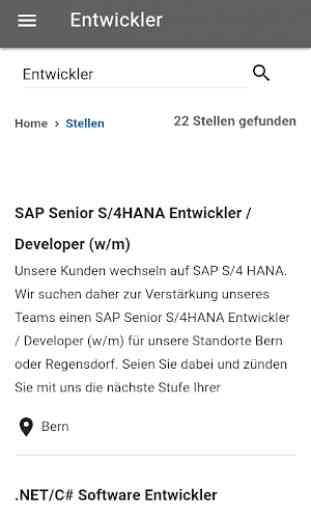 Swiss IT-Jobs 2