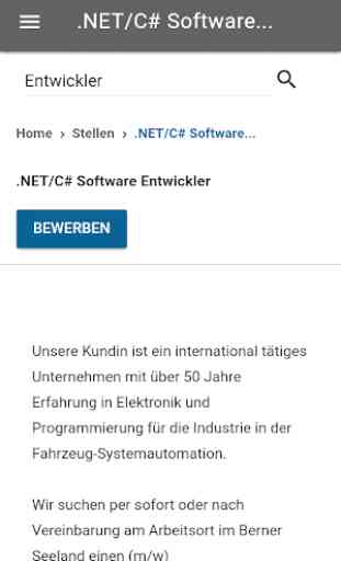 Swiss IT-Jobs 3