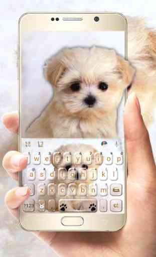 Innocent Puppy Tema de teclado 1