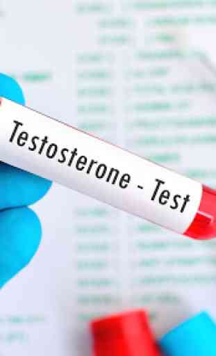 Aumente su Testosterona 3