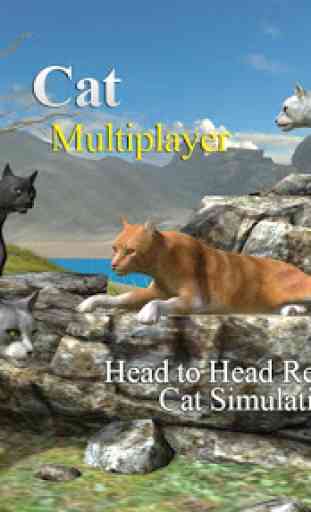 Cat Multiplayer 1