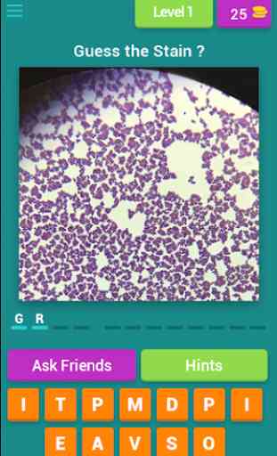 Microbiology quiz; plate reading app. 1