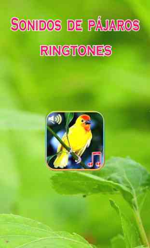 Pájaros Sonidos Ringtones 1