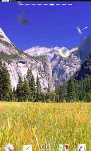 Parque Nacional de Yosemite 3