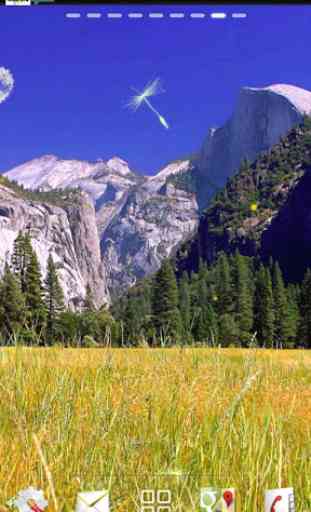 Parque Nacional de Yosemite 4
