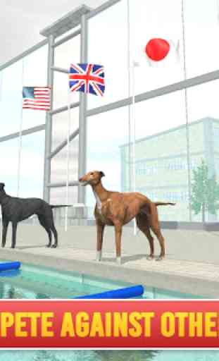 Perros de mascota nadando carrera 1