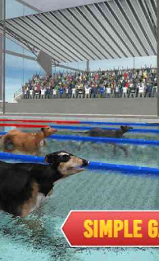 Perros de mascota nadando carrera 4