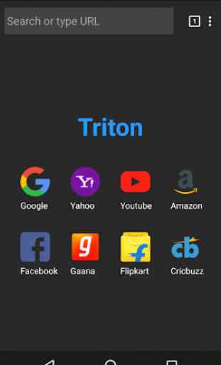 Triton - Mini Web Browser 4