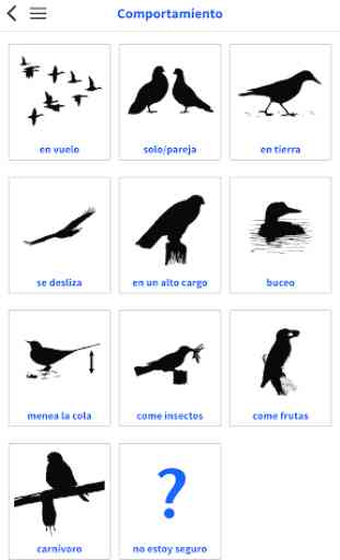 Birds of Patagonia 3
