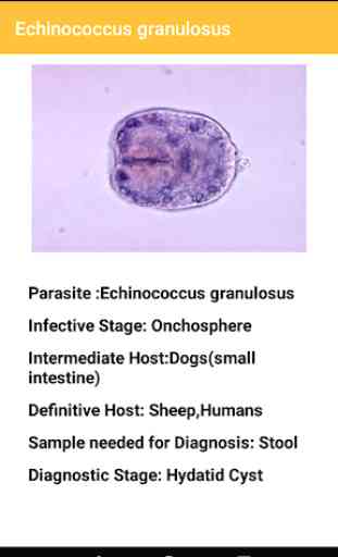 Medical Parasites 4