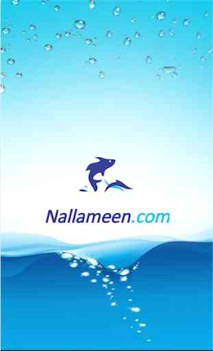 Nallameen.Com - Buy Fresh Fish Online 1