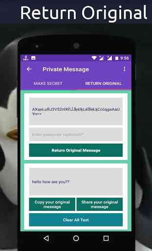 Private Message 3