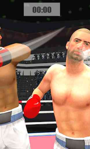 Punch Boxing  Mega Star 3D 3