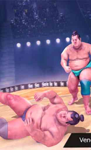 Sumo Wrestling Fight Arena 3