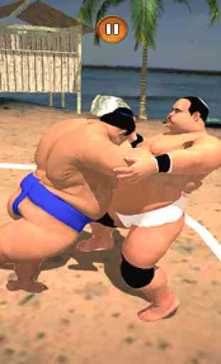 Sumo Wrestling Fighting Game 2019 2