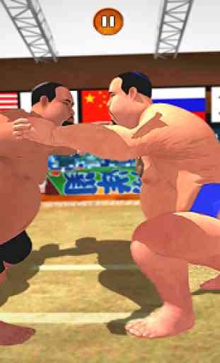 Sumo Wrestling Fighting Game 2019 4