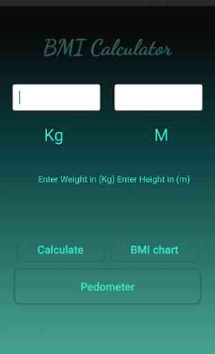 BMI Calculator with Step Counter 2