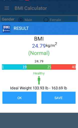Body Mass Index BMI Calculator 2
