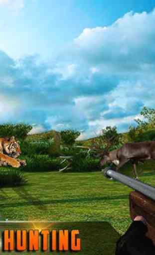 Caza Experto Safari Animal Cazador 1