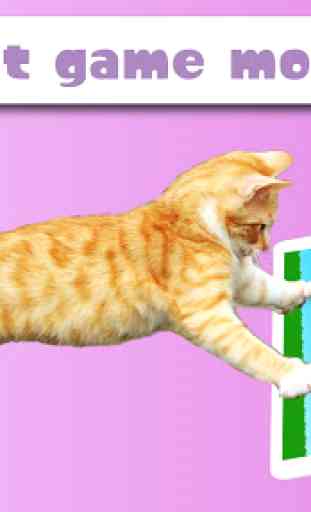 HappyCats un juego para Gatos 3