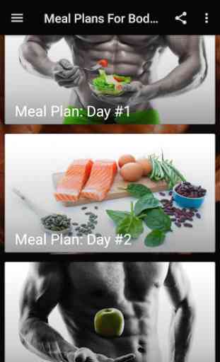 Meal Planner For Muscle Gain 2
