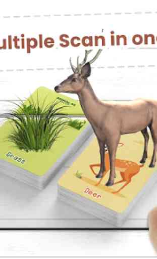 Animal AR 3D Safari Flash Cards 2