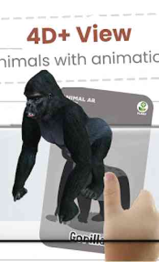 Animal AR 3D Safari Flash Cards 4