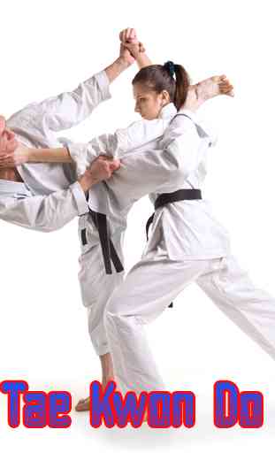 Aprendiendo Técnicas de Taekwondo TKF 2