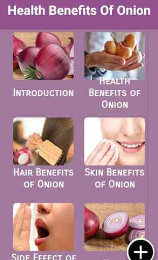 Health Benefits Of Onion 1