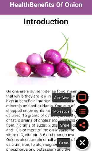 Health Benefits Of Onion 2