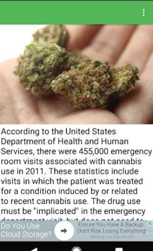 Medical Marijuana 4