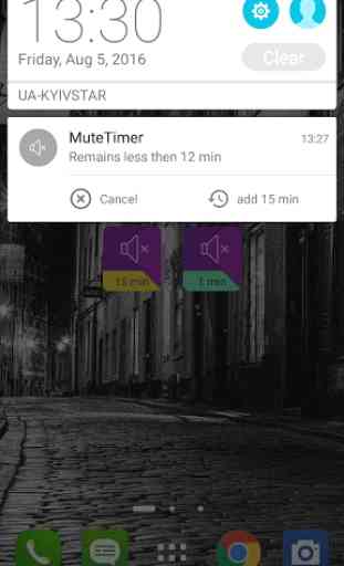 Mute Timer Widget 3