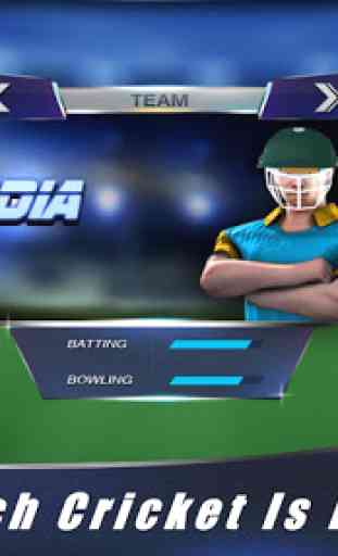 Touch Cricket T20 League 2015 2