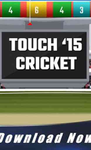 Touch Cricket T20 League 2015 4