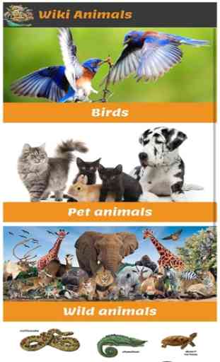 Animal Sounds & information 1