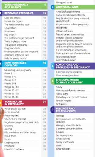 Pregnancy Guide 1